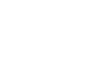 icon-white padding